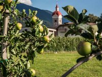 Holiday apartment in Valle Isarco: Am Brunnen Apartments Holiday apartment in Valle Isarco: Am Brunnen Apartments