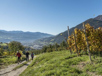 Appartamento a Naz-Sciaves Tre escursionisti su un sentiero vicino a vigneti con montagne sullo sfondo