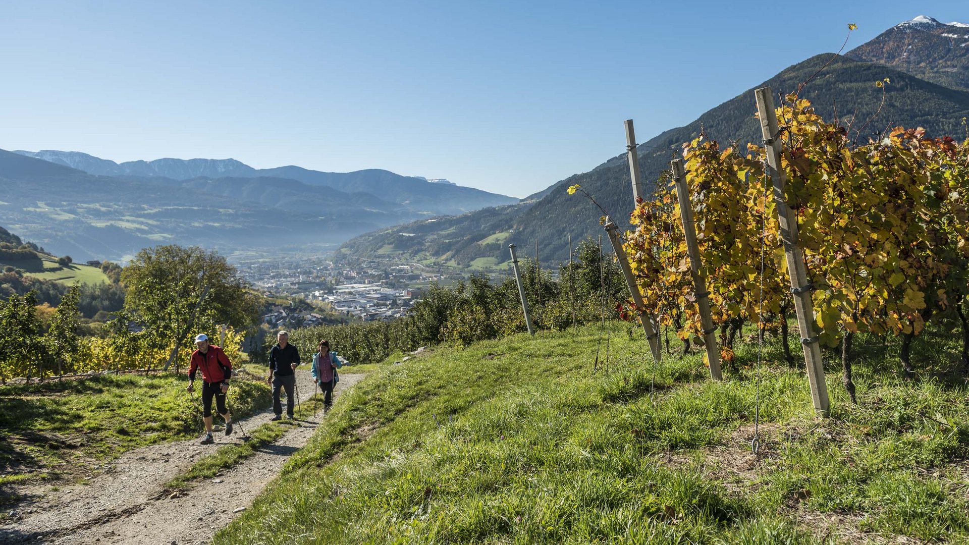 Active holiday in South Tyrol: Am Brunnen Apartments Active holiday in South Tyrol: Am Brunnen Apartments