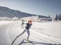 Skiing or tobogganing? Winter holidays in Valle Isarco Skiing or tobogganing? Winter holidays in Valle Isarco