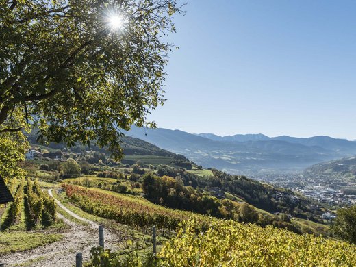Active holiday in South Tyrol: Am Brunnen Apartments Active holiday in South Tyrol: Am Brunnen Apartments