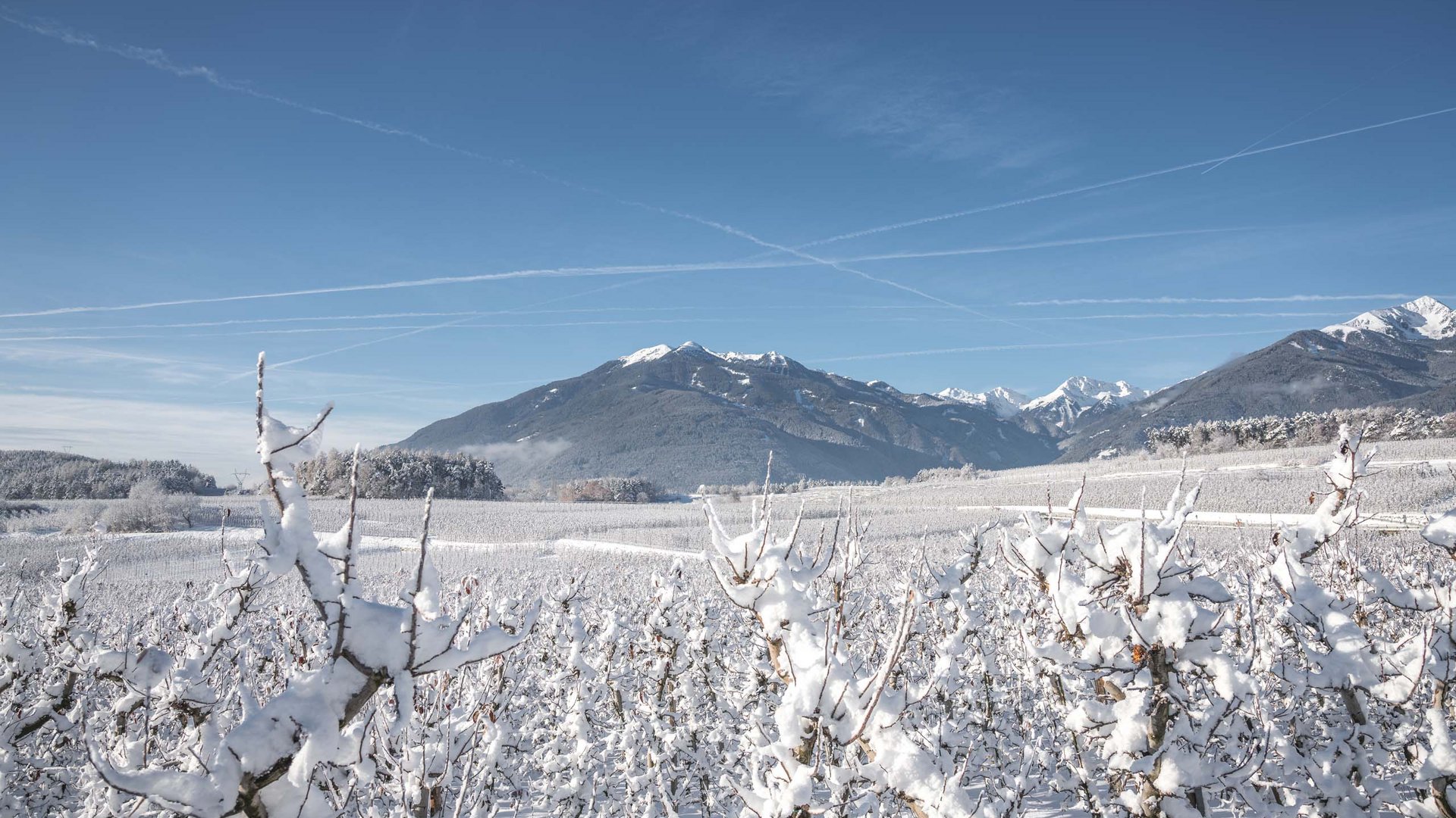 Slittare o sciare a Bressanone? Vacanza invernale in Valle Isarco