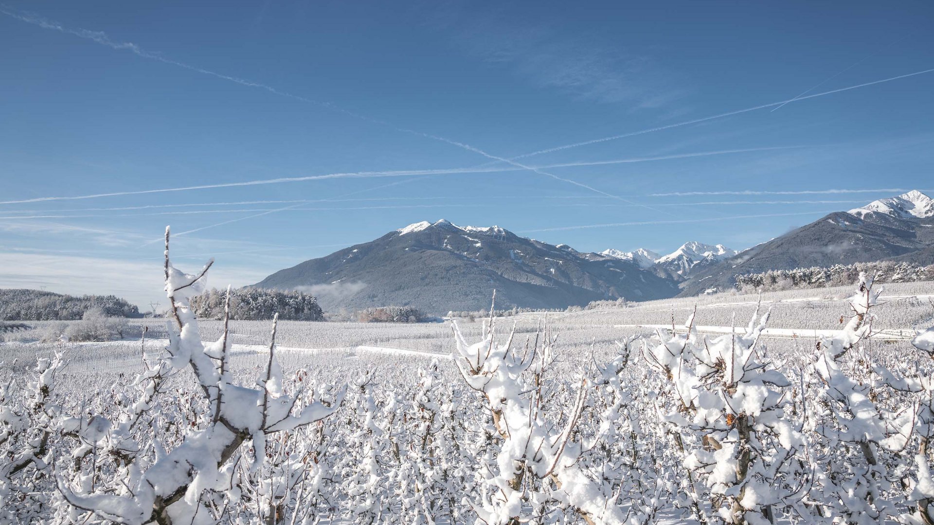 Skiing or tobogganing? Winter holidays in Valle Isarco