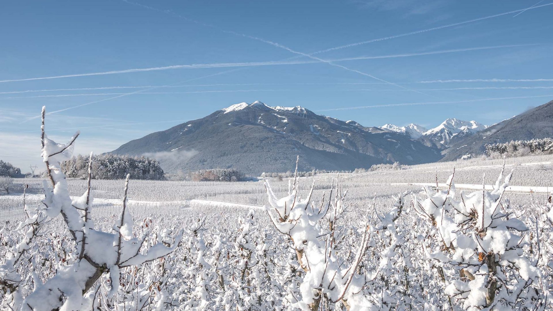 Active holiday in South Tyrol: Am Brunnen Apartments Active holiday in South Tyrol: Am Brunnen Apartments